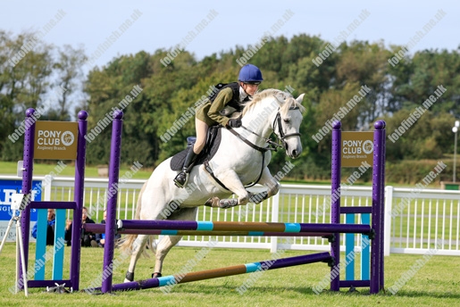 _Q0A6703