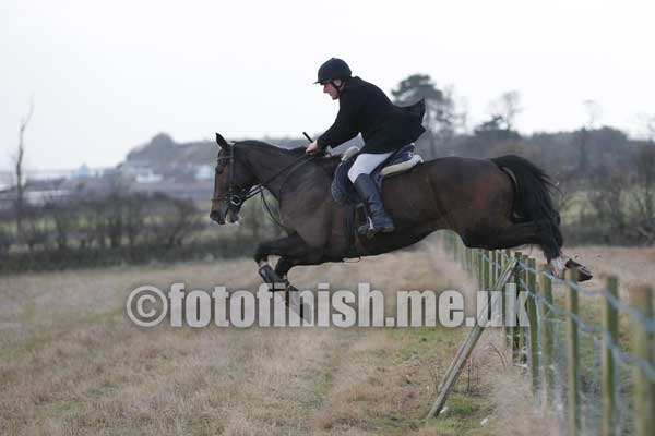 _T3G1264