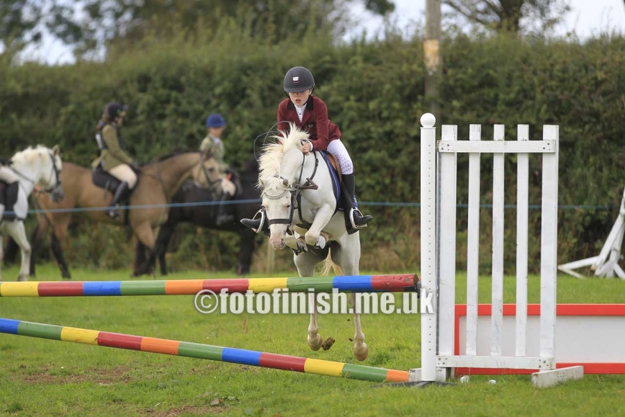 _T3G1723