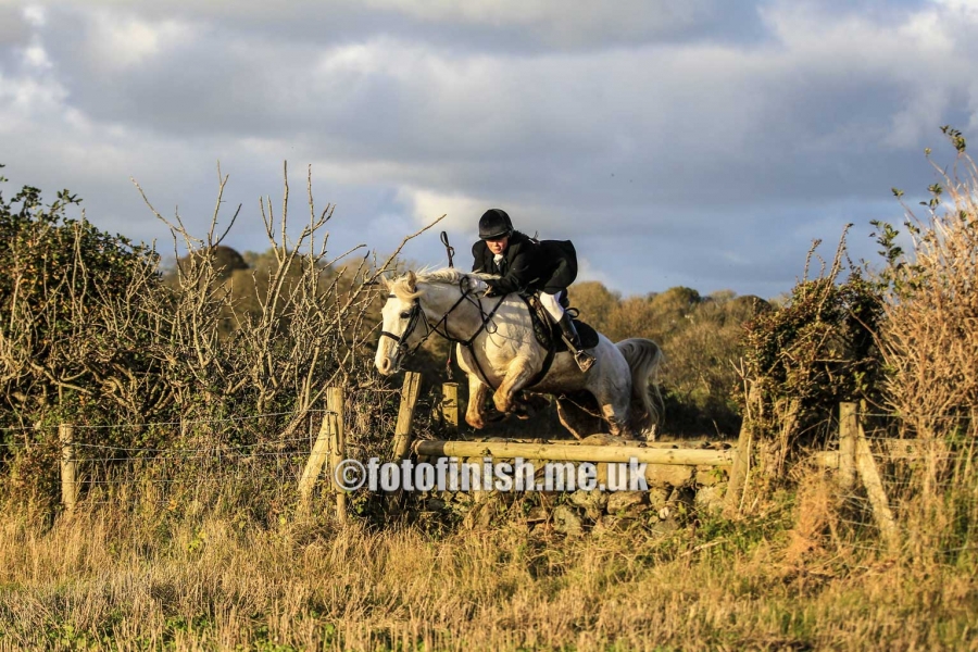 _T3G1882