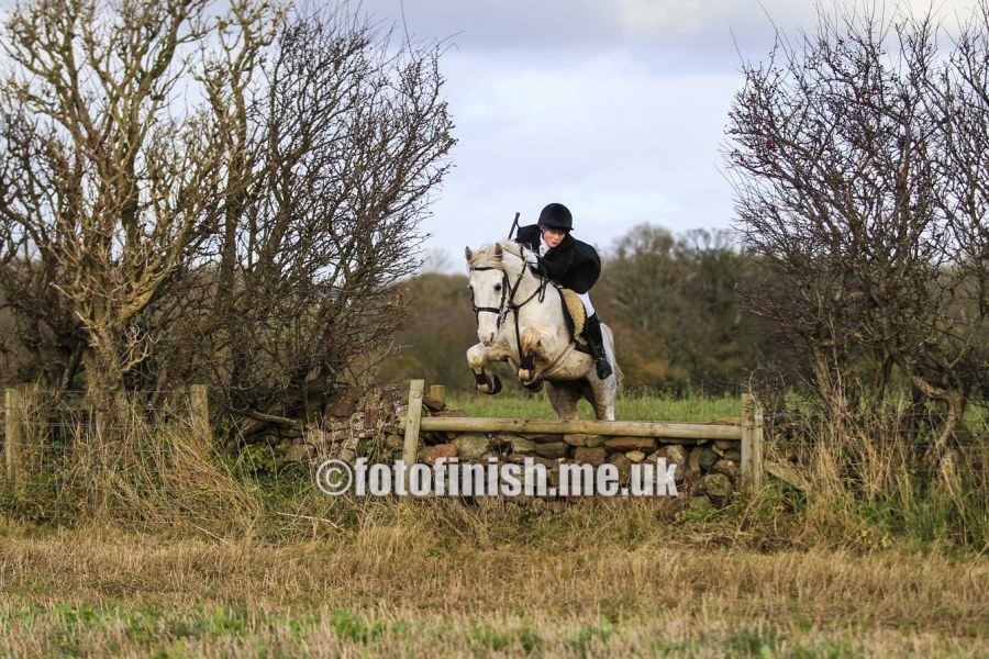 _T3G2193