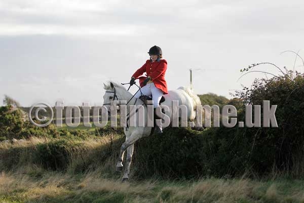 _T3G3677