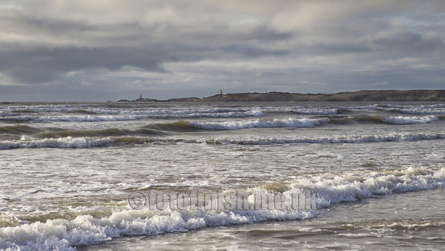 _T3G4692-print