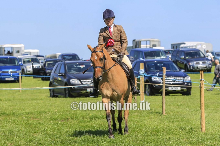 _T3G8029