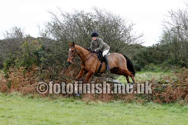 118337