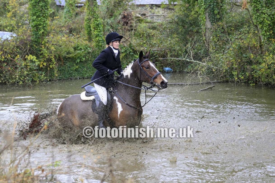_T3G8881