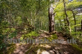 _10A8501-copy