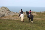 103879