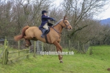 _T3G1460