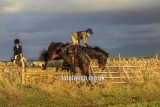 _T3G2009