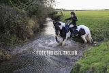 _T3G3058