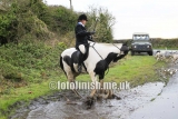 _T3G3790