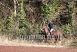 114338