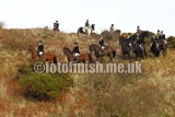 109864